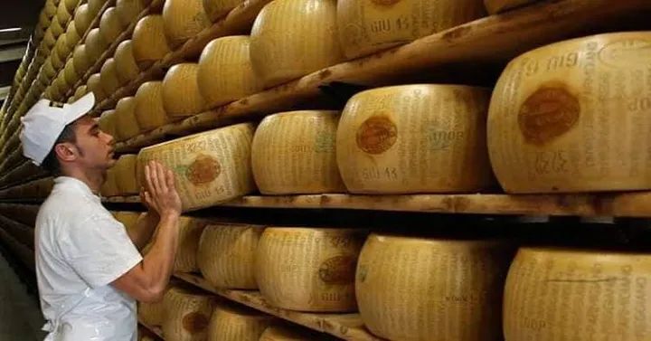 بنك في إيطاليا يتعامل مع الجبن كأنه ذهب